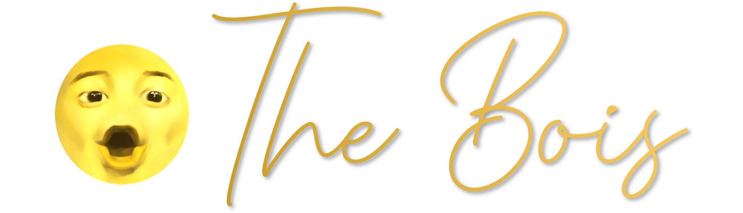 The Bois logo